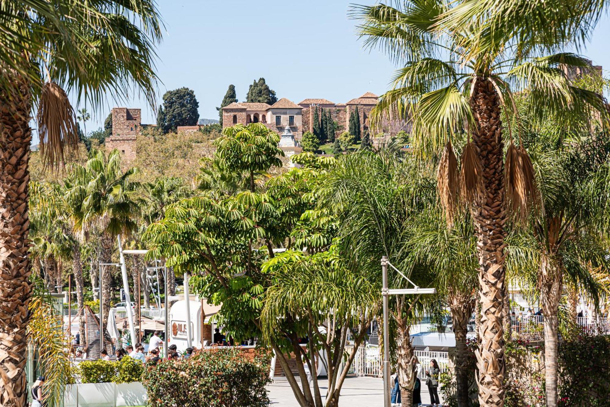 Iloftmalaga Puerto Apartament Malaga