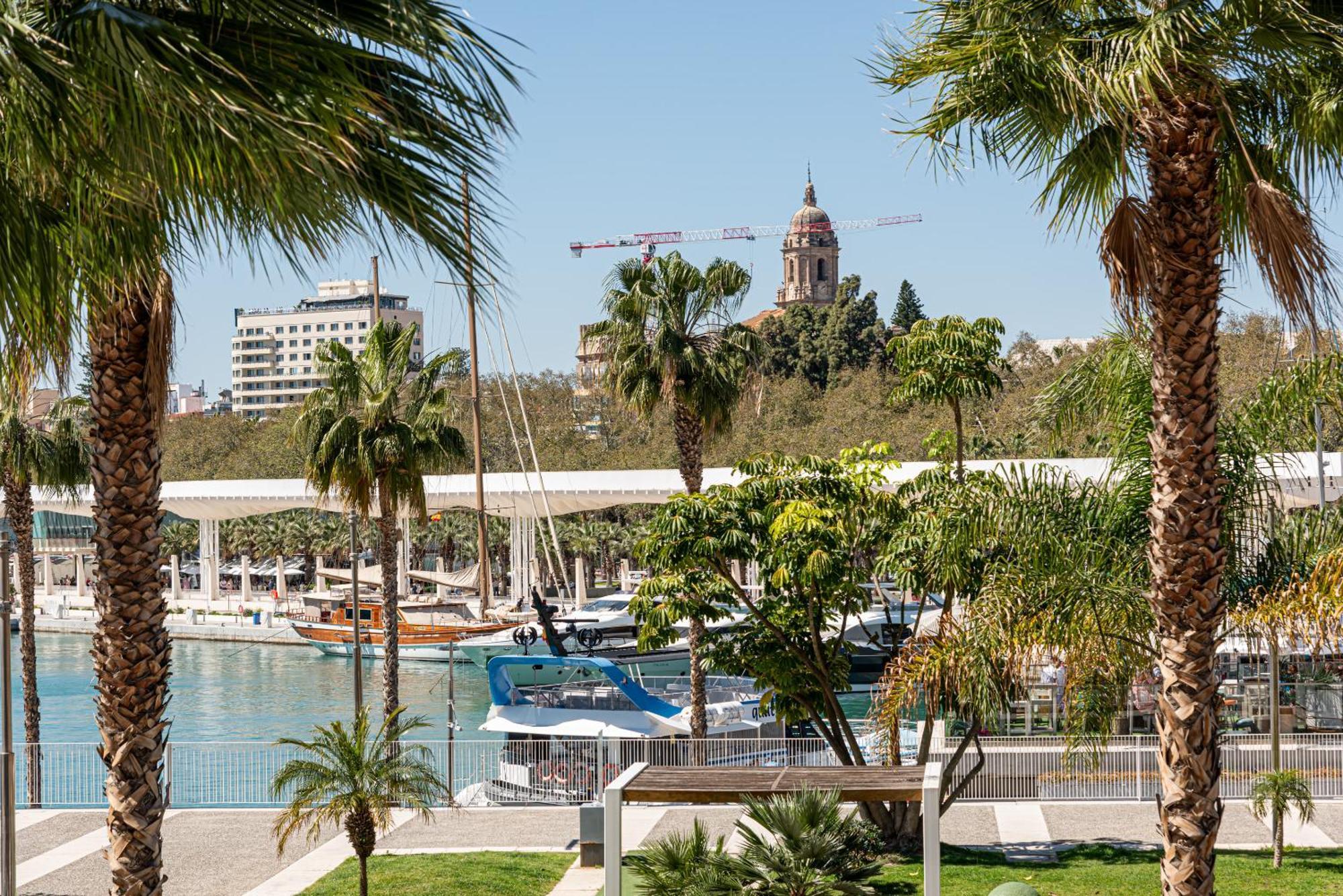 Apartament Iloftmalaga Puerto *